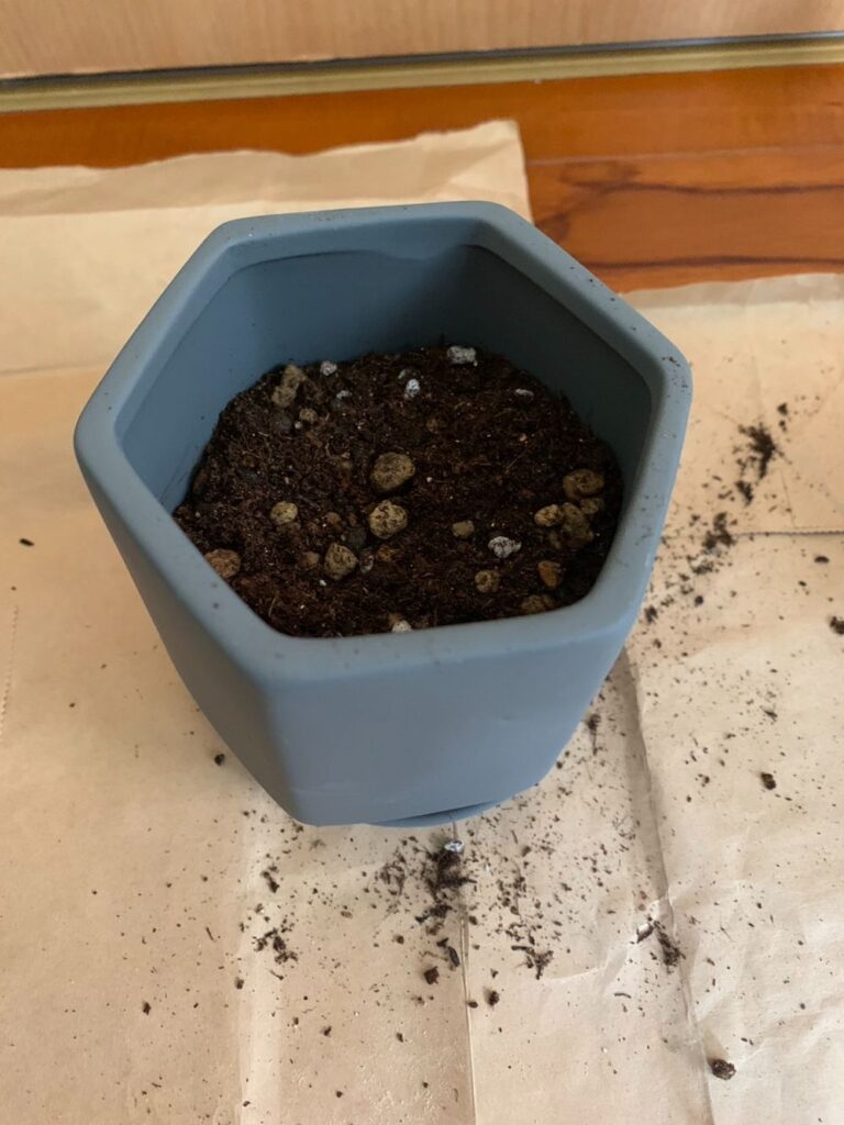 土を入れた鉢